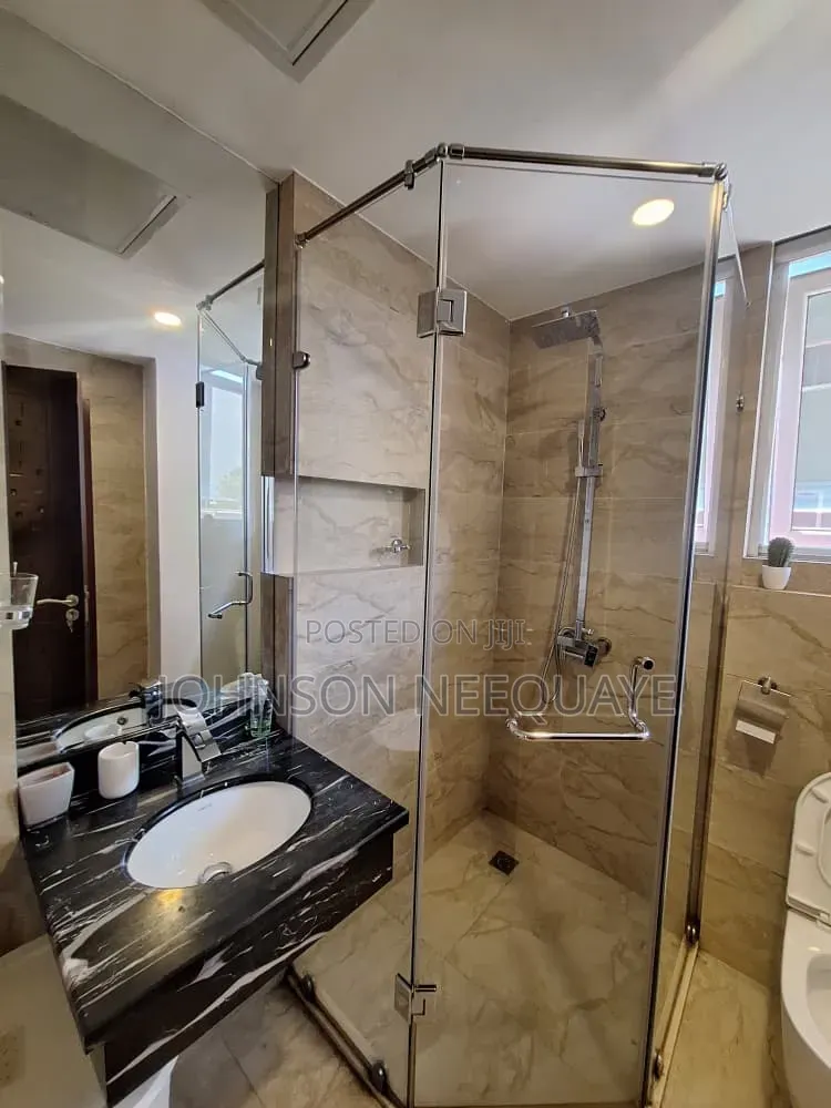 Furnished 1bdrm Apartment in Osu, Oxford Street for rent