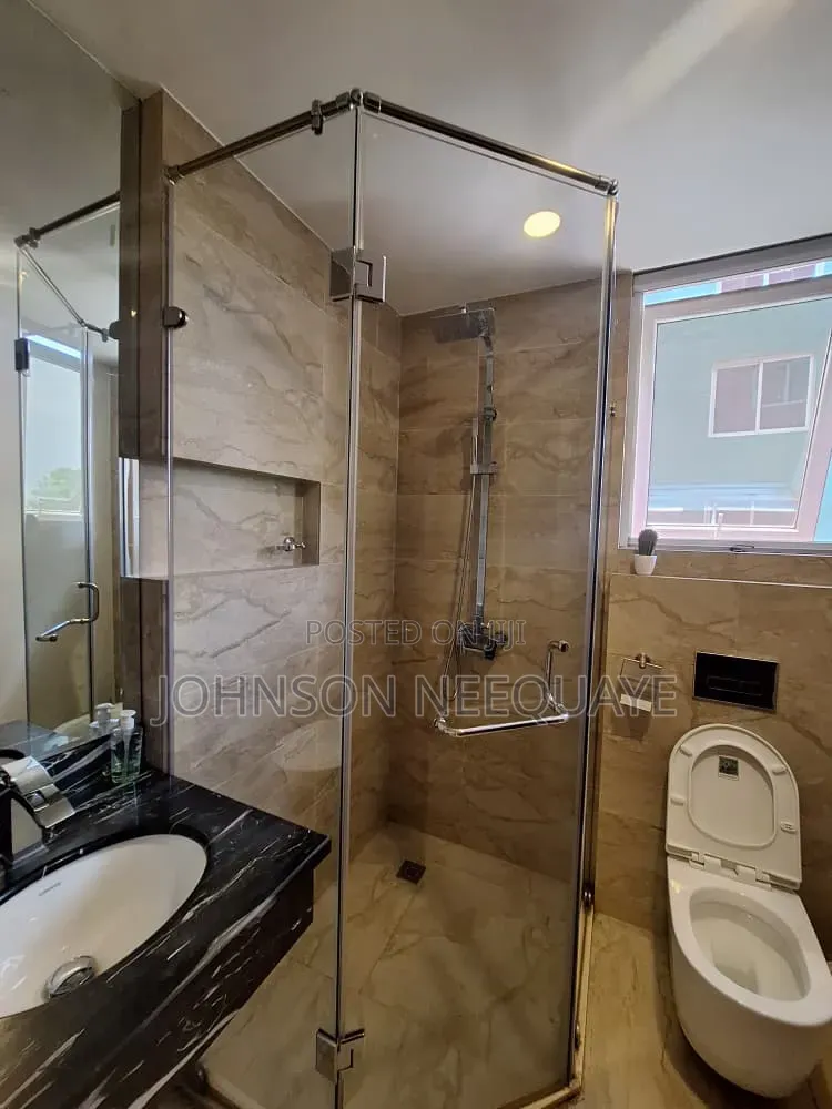 Furnished 1bdrm Apartment in Osu, Oxford Street for rent