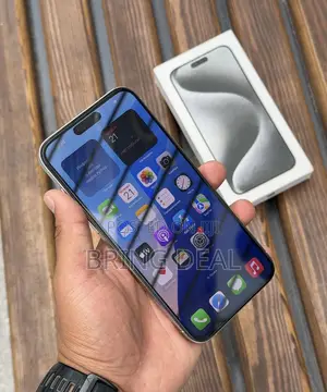 Apple iPhone 15 Pro Max 256 GB Gray