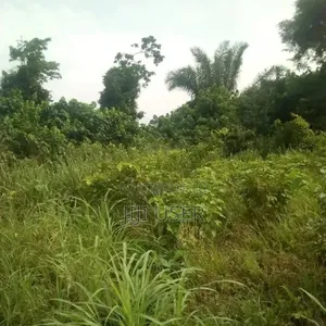 Farm Land for Long Lease