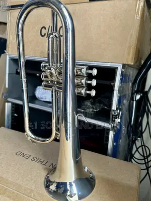 Titanic Usa Yfh-631gs Bb Flugelhorn [Silver]