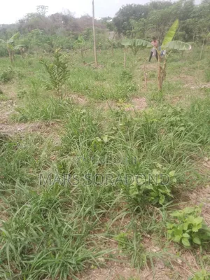 Residential Land
