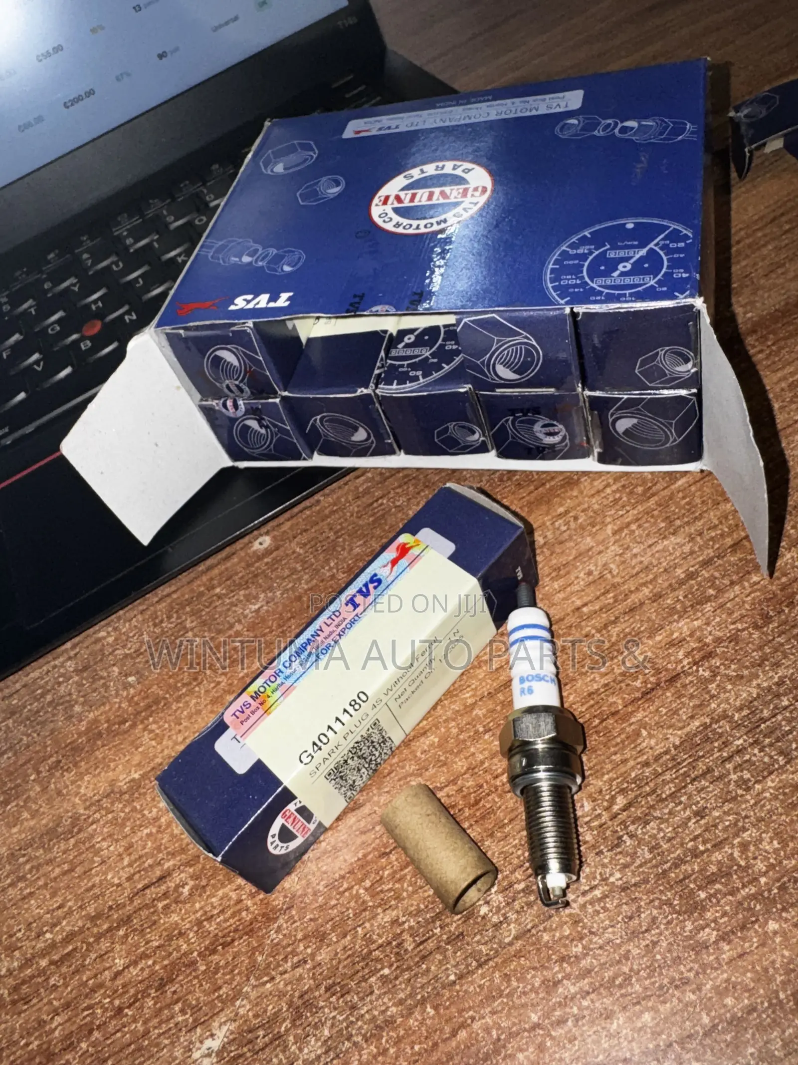 TVS Spark Plugs