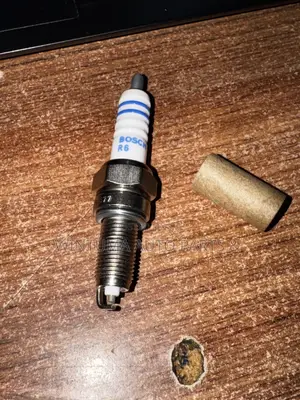 TVS Spark Plugs