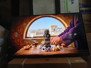 Samsung 43” Smart Entertainment Tv for Every Room
