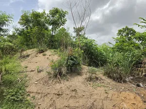 Land at Maase-Adubinsu for Sale