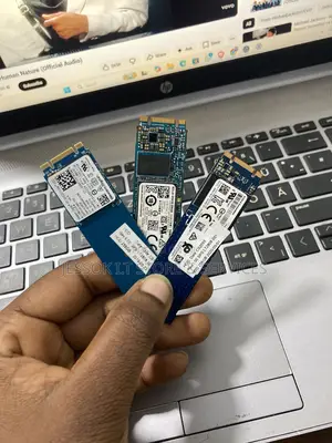 256 M.2 SSD Sata