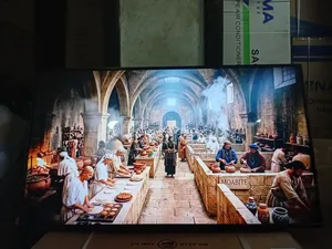 Samsung 43” Smart Home Entertainment Television