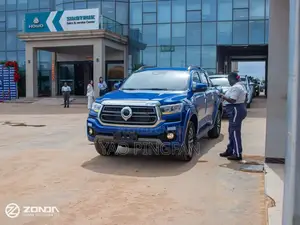 Light Duty Vehicle