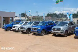 Light Duty Vehicle