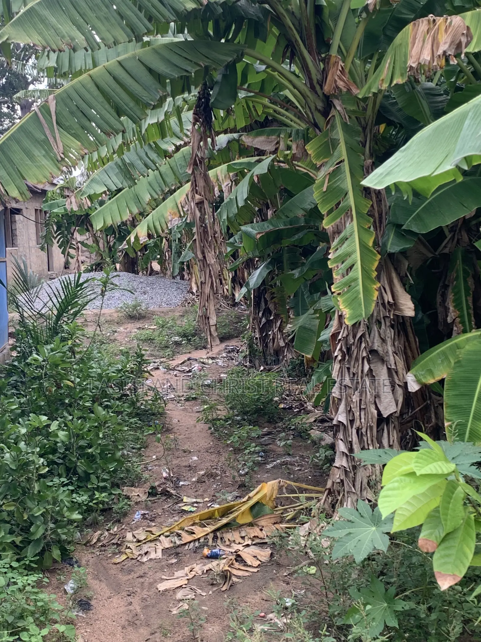 Half Plot for Sale