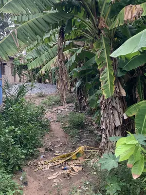 Half Plot for Sale