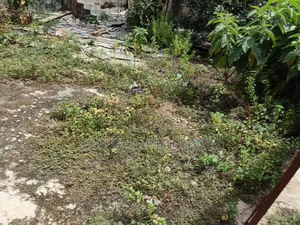 Plot For Sale At Buokrom Estate A Line