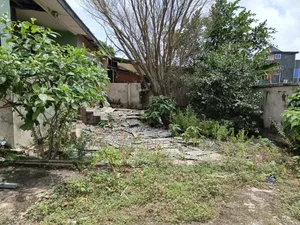 Plot For Sale At Buokrom Estate A Line