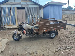 Fast Affordable Tricycle Cargo Delivery