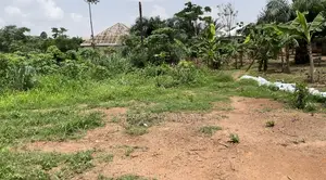 Land for Sale – Genuine Documents Available