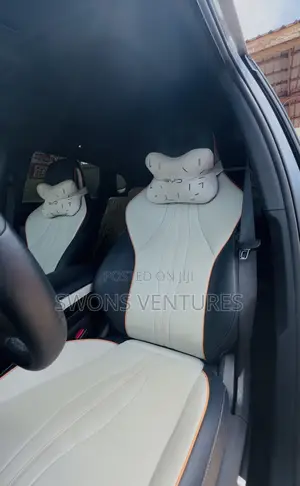 BYD Song Plus EV FWD 2022 Gray