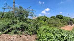 Titled 5 Plots of Land in a Gated Community Trasacco