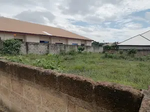 Real Estate