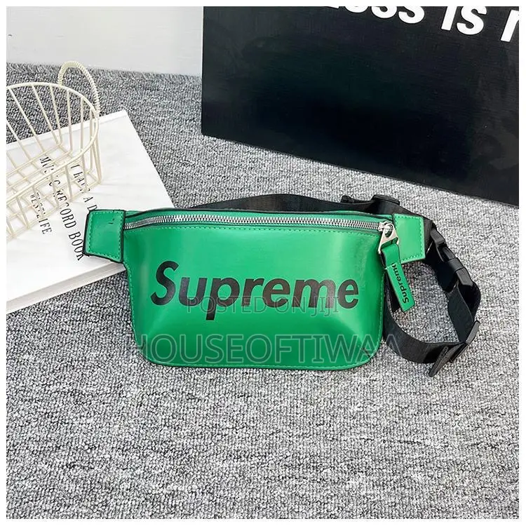 Mini Waist and Crossbody Bag