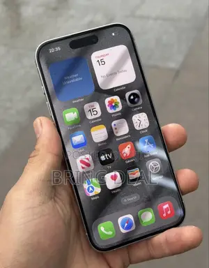 Apple iPhone 15 Pro Max 256 GB Gray