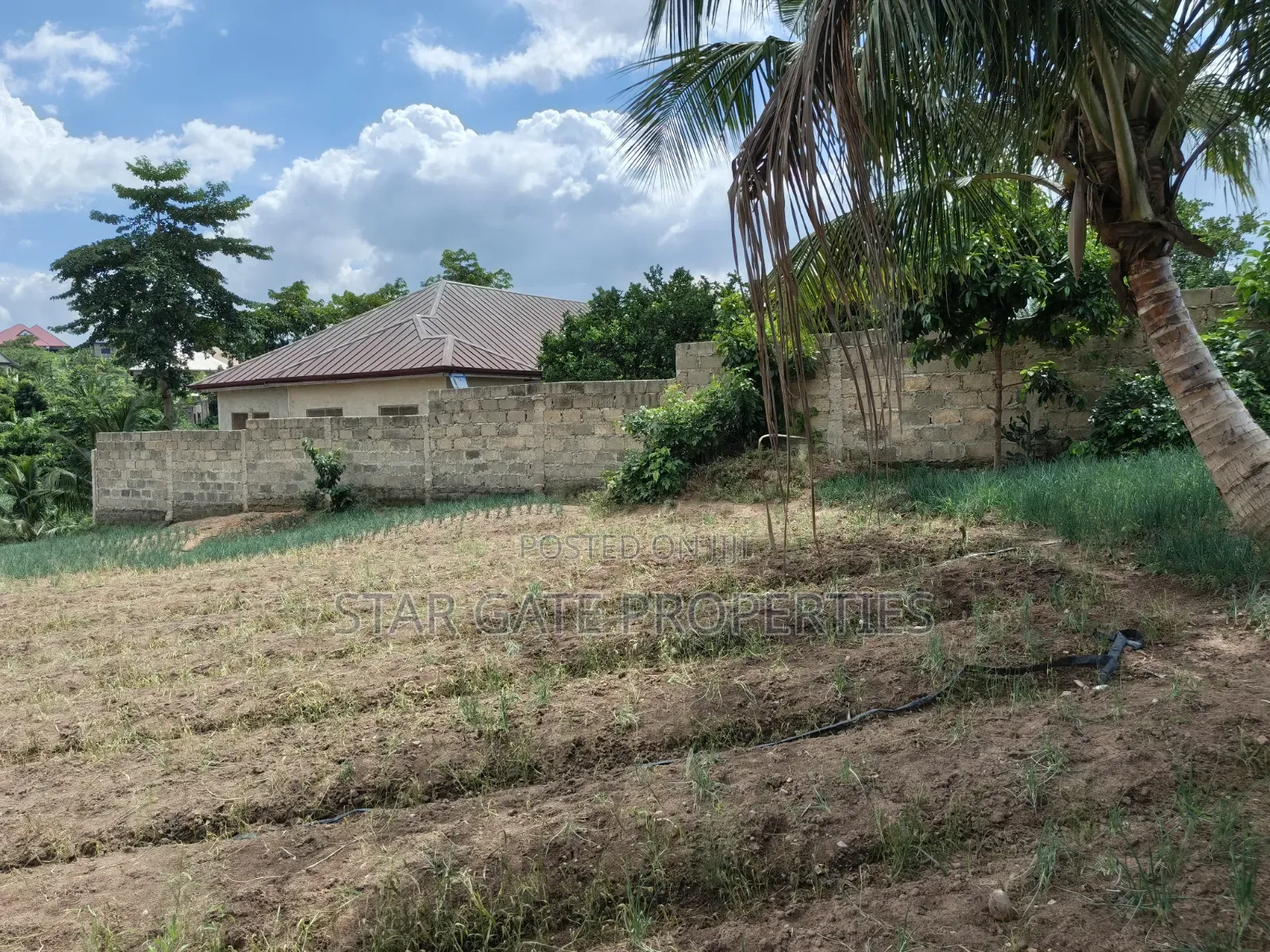 Plot for Sale at Asuofia Nketia ( 5th Plot Main Road)