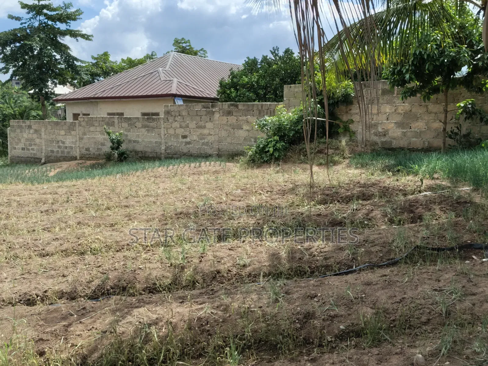 Plot for Sale at Asuofia Nketia ( 5th Plot Main Road)
