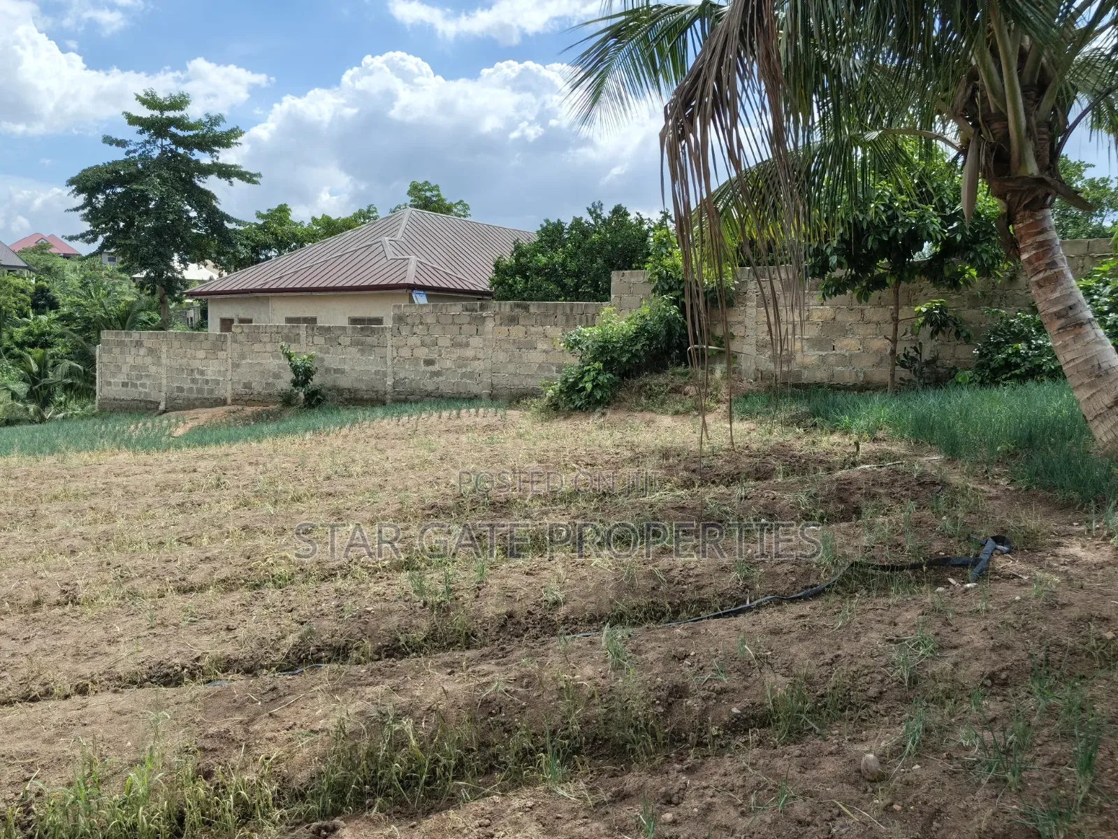 Plot for Sale at Asuofia Nketia ( 5th Plot Main Road)