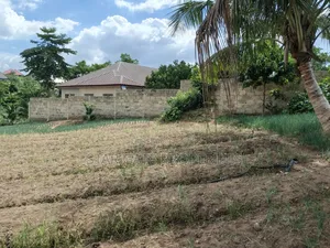 Plot for Sale at Asuofia Nketia ( 5th Plot Main Road)