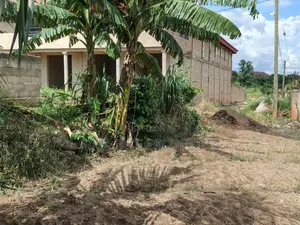 Plot for Sale at Asuofia Nketia ( 5th Plot Main Road)
