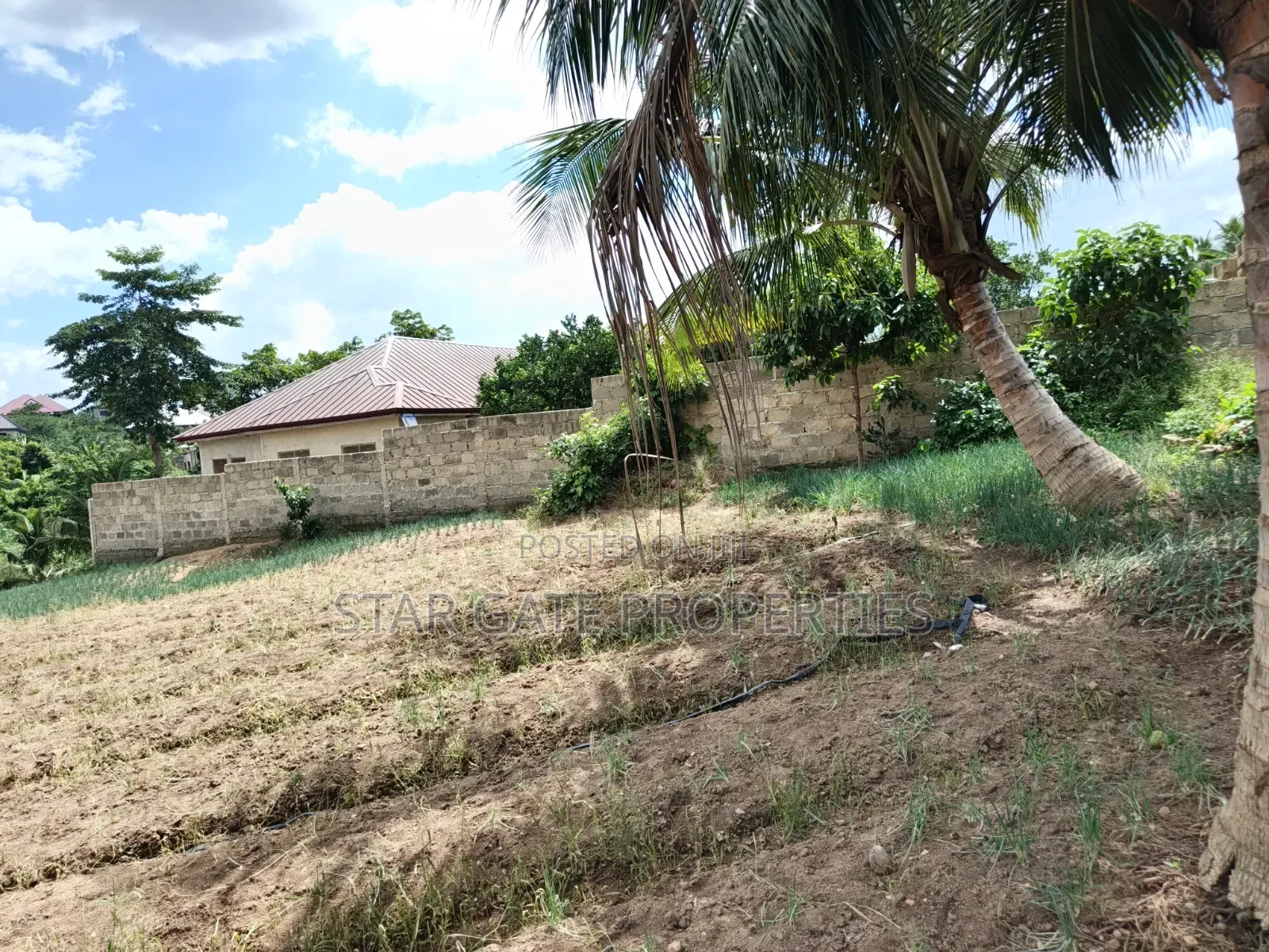 Plot for Sale at Asuofia Nketia ( 5th Plot Main Road)
