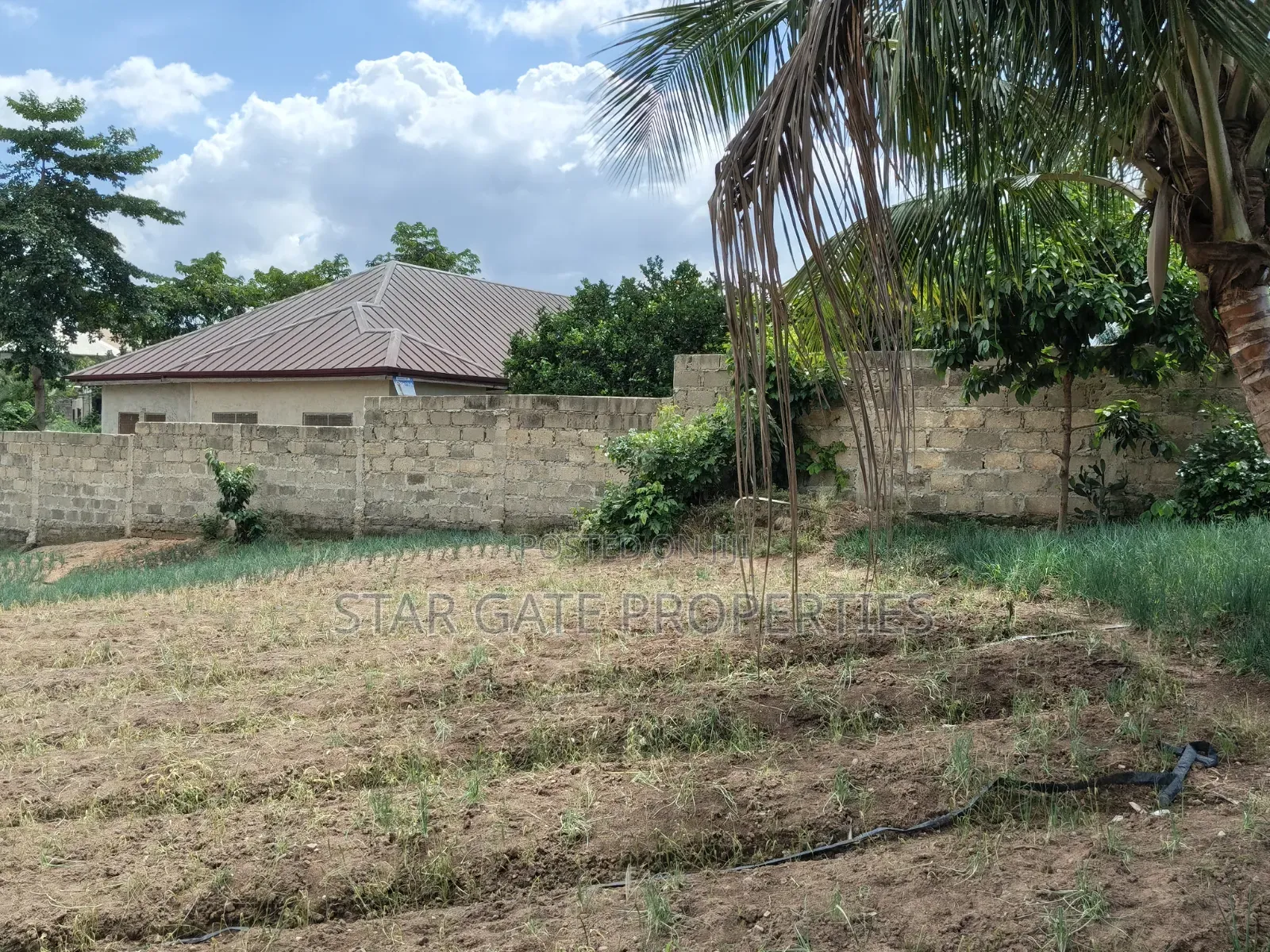 Plot for Sale at Asuofia Nketia ( 5th Plot Main Road)