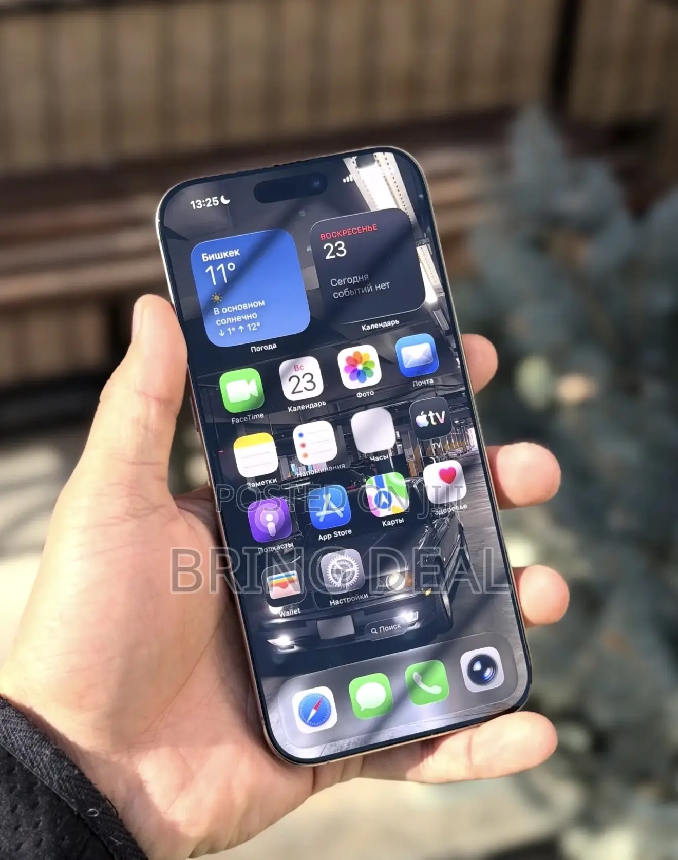 Apple iPhone 15 Pro Max 256 GB Silver