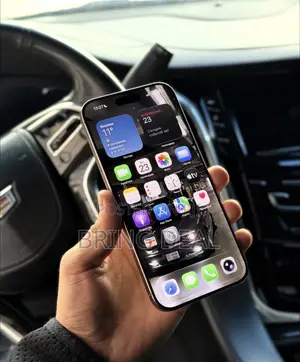 Apple iPhone 15 Pro Max 256 GB Silver