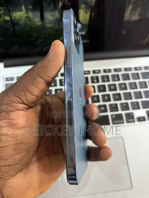 Apple iPhone 12 Pro Max 256 GB Blue