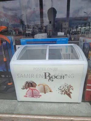 Scoop Up Success: The Roch Ris-370-D Ice Cream Showcase