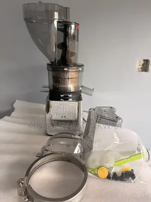 500w Commercial Fruit Juicer
