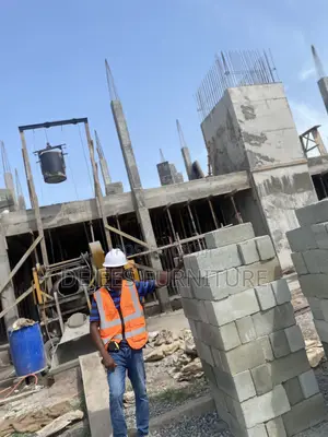 Project Supervisor