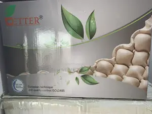 Anti Decubitus Air Mattress