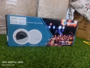 Vibeking High Quality Bluetooth Ceiling Speaker