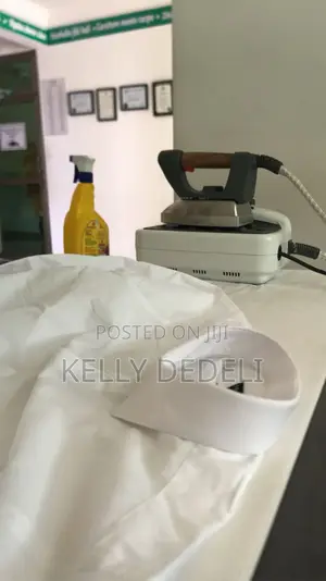 Express Laundry Services