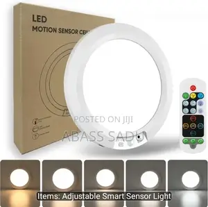 Rechargeable Ceiling Light