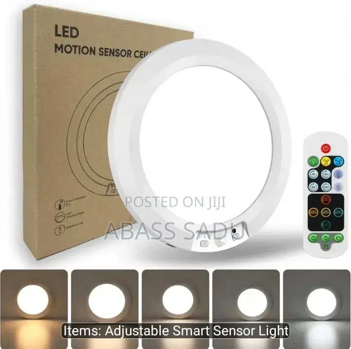 Rechargeable Ceiling Light