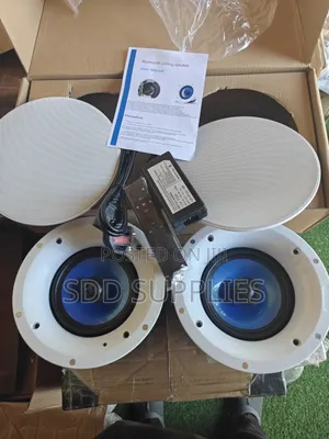 Vibeking 100 Watts Bluetooth Ceiling Speakers