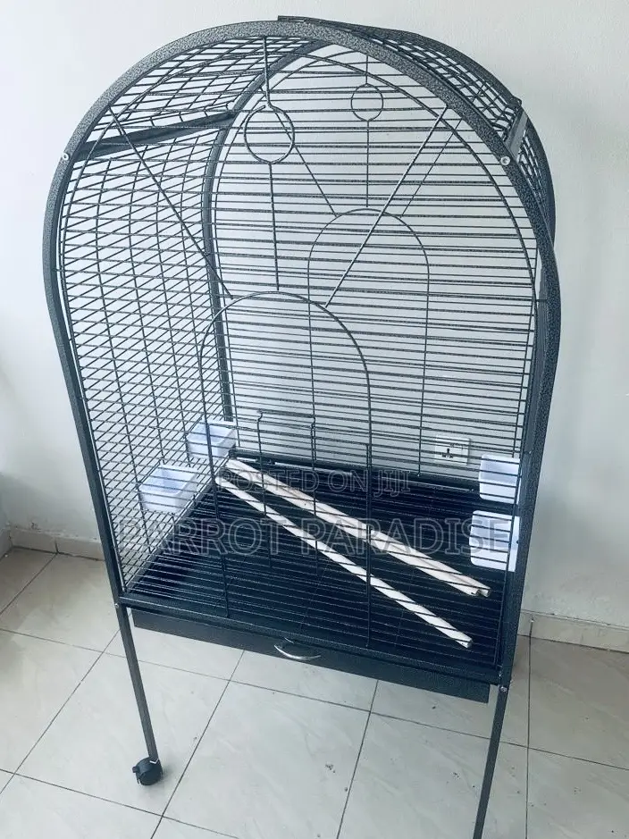 Big Parrot Cage