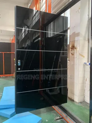 Modern Fingerprint Pivot Security Door
