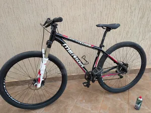 29 Wheelie Mountain Bike