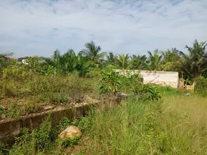 Registered 2 Plots of Land for Sale .