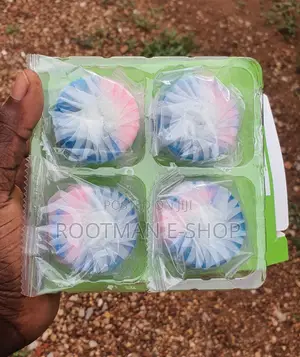 Toilet Bowl Cleaner (4 Piece)