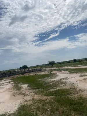 For Sale : Genuine Plots - (Prampram) Airport City_ Estate Plots